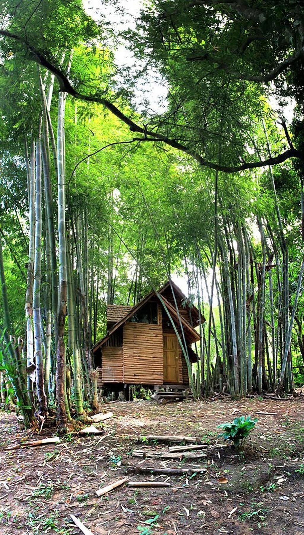 Rabeang Pasak Treehouse Resort Chiang Mai Exterior foto